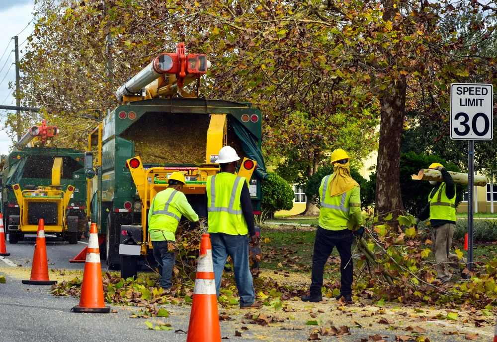 Tree crew in hi-vis and hard hats working beside a chipper truck and traffic cones on a street